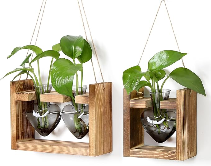 2+1 Plant Terrarium Plant Propagation Station Birthday Gifts for Women Plant Lovers Home Office Decor with Wooden Stand