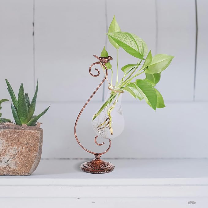 Propagated Plant Vase, Glass Planters for Indoor Plants, with Metal Frame Vintage Pattern Iron Cast Bird, Gifts for Plant Lovers, for Indoor Desktop, Office, Home Decor