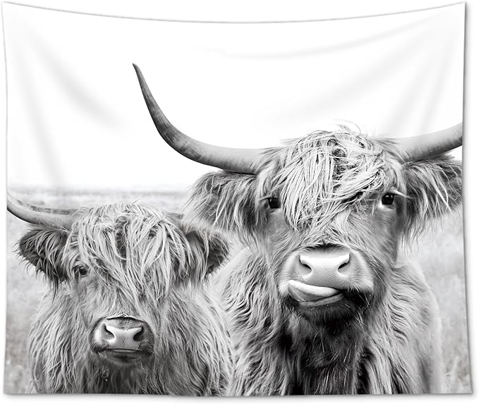 AMBZEK Two Cows Tapestry 51Hx59W Inch Bull Highland Cow Western Farmhouse Farm Country Rustic Cattle Animal Wildlife Funny Cute Milk Artwork Modern Wall Hanging Bedroom Living Room Dorm Decor Fabric