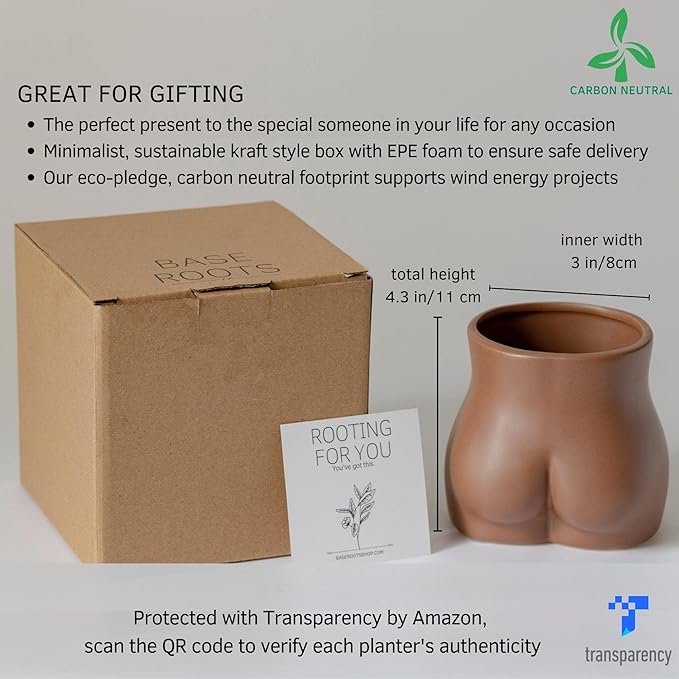 BASE ROOTS Plant Pot Ceramic Planter Vase with Drainage for Succulents, Cactus, Flowers - Ideal for Boho Indoor & Outdoor Garden, Aesthetic Living Room, Bedroom, Desk Organizer Decor & Gift Idea