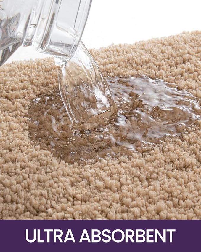 DEXI Bathroom Rug Mat 24x16, Extra Soft and Absorbent Bath Rugs, Washable Non-Slip Thick Carpet Mat for Shower Floor, Tub, Beige