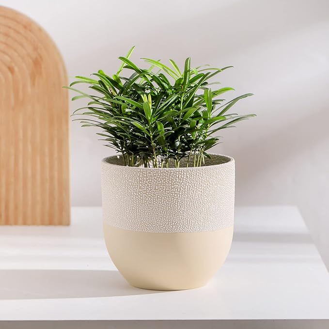 UBEE Ceramic Flower Pot Plant Pot for Indoor Plants | 6 inch Planter with Drainage Hole for Aloe, Snake Plants, Pothos, Orchid, Succulents, Herbs, Home Decor, Beige