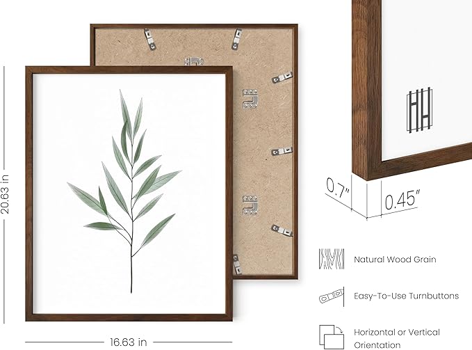 HAUS AND HUES Green Plant Art Print Set of 4-16x20 - Walnut Framed
