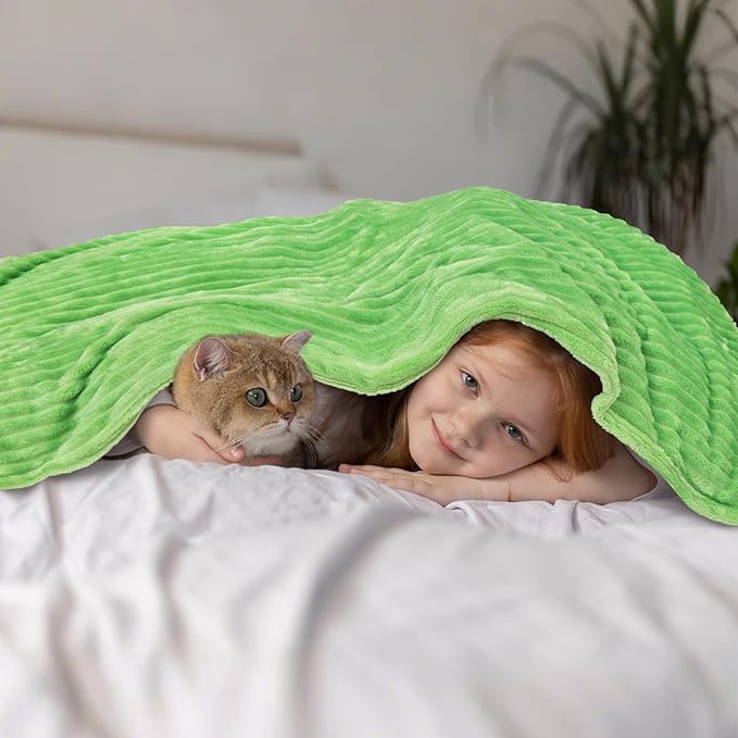 Vessia Flannel Fleece Throw Blanket for Couch, Sofa, Bed, 300GSM Microfiber Light Green Striped Chair Blanket, Super Soft Warm Cozy Lightweight Ribbed Throw for All-Season