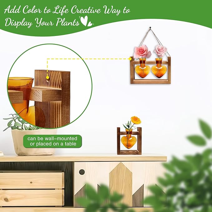 2+1 Plant Terrarium Plant Propagation Station Birthday Gifts for Women Plant Lovers Home Office Decor with Wooden Stand