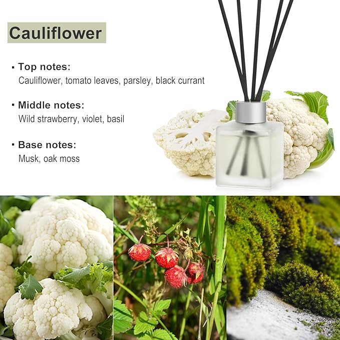 Reed Diffuser, Cauliflower Scented Oils, 3.4 oz Vegetable Aroma Air Freshener with Diffuser Sticks, Long Lasting Essential Oil Home Fragrance for Office Room Bathroom Decor (1 Pack)