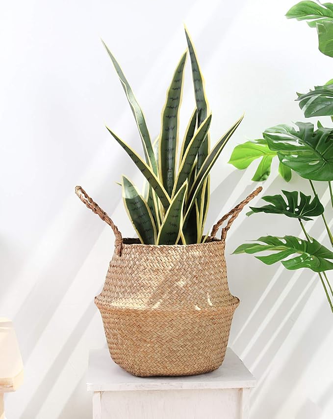 Woven Seagrass Wicker Basket with Handle - Planters for Indoor Plants, Storage & Picnic Basket Organizer, Garden Basket Fits 6-7 Inch Plant Pots & Groceries (Small, Original)