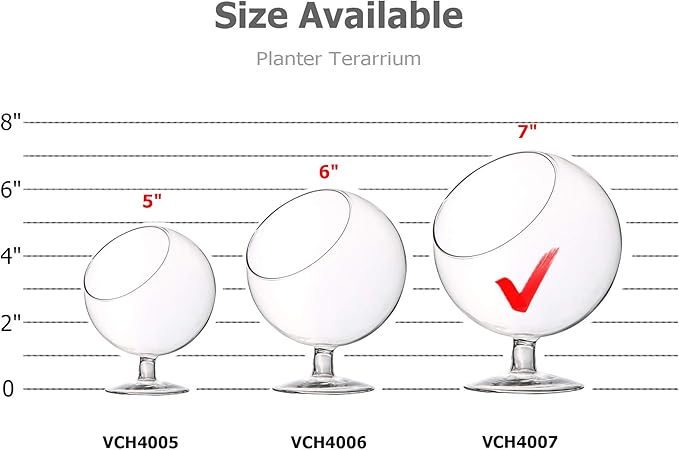WGV Planter Terrarium with Stand, Ball Diameter 6" Height 7", Clear Glass Floral Container Vase, DIY Succulents Outdoor Garden Home Office Decor Slant Cut Orb, 6 Pieces