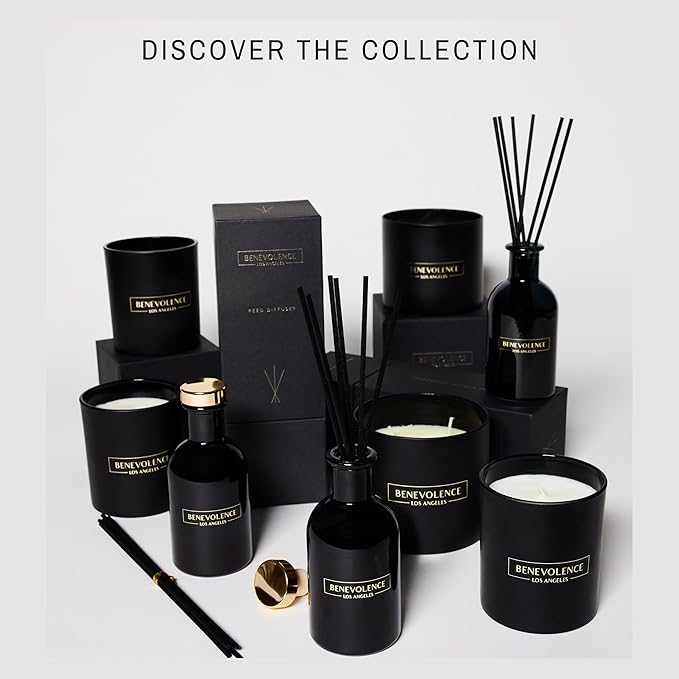 Benevolence LA Reed Diffusers for Home, Lavender & Eucalyptus Relaxing Fragrance | Aromatherapy Reed Diffuser Sticks with Gift Box, Scented Sticks for Bathroom | Home Decor