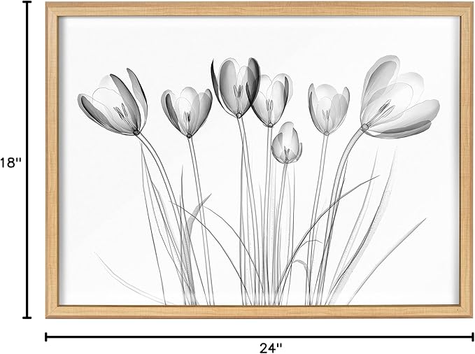 Kate and Laurel Blake Crocus X Ray Floral BW Framed Printed Glass Wall Art by The Creative Bunch Studio, 18x24 Natural, Decorative Modern Flower Art Print for Wall