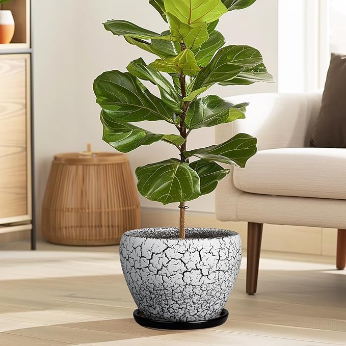 Ceramic Plant Pot 8 Inch - Ceramic Planter for Indoor Plants, Round Flower Pot with Drainage Hole and Saucer, Glaze White and Black