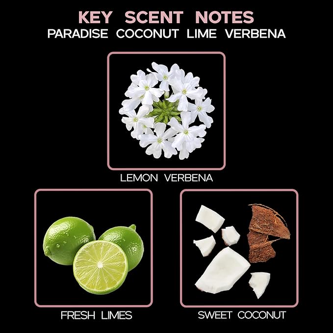 LOVSPA Coconut Lime Verbena Scented Reed Sticks Diffuser Set - Paradise by LOVSPA Fragrances - Tropical Blend of Lemon Verbena, Fresh Limes & Coconut - Made in The USA