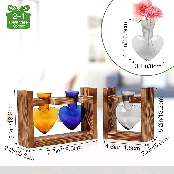 2+1 Plant Terrarium Plant Propagation Station Birthday Gifts for Women Plant Lovers Home Office Decor with Wooden Stand