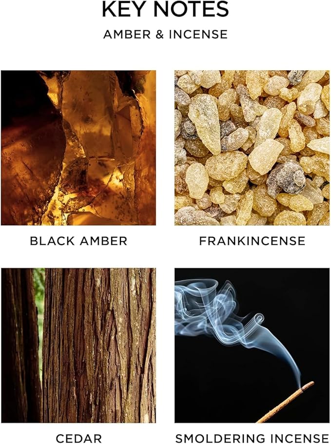 NEST New York Reed Diffuser, Amber & Incense - 5.9 fl oz - Fragrance for Up to 90 Days - Reusable, Refillable Glass Holder - Includes 8 All-Natural Reed Sticks - Flame Free