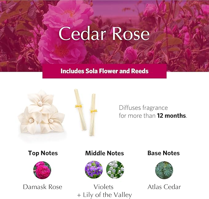 AGRARIA AirEssence Flower and Reed Diffuser Set, Hand Crafted Sola Flower Botanical Home Fragrance Diffuser, Scented Oil Reed Diffuser, Flower and Reed Diffuser Gift Set for All Occasions