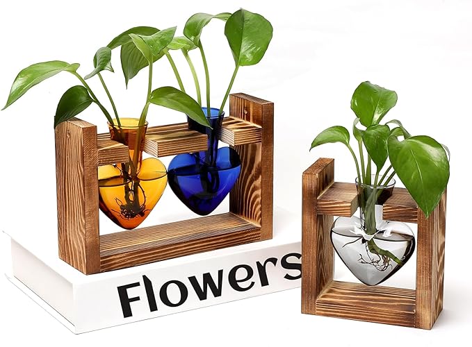 2+1 Plant Terrarium Plant Propagation Station Birthday Gifts for Women Plant Lovers Home Office Decor with Wooden Stand