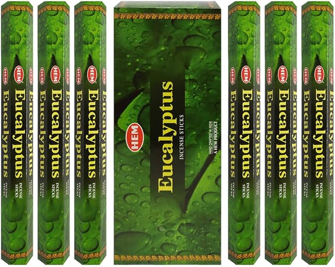 Eucalyptus Incense Sticks and Incense Stick Holder Bundle Insence Insense Hem Incense Sticks