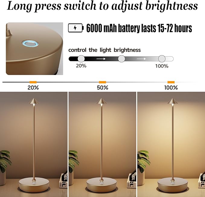 Rechargeable Cordless Table Lamp, Portable Powered LED Battery 6000mAh Metal USB Desk Lamp, 3 Levels Brightness Light for Restaurants Outdoor (Titanium)
