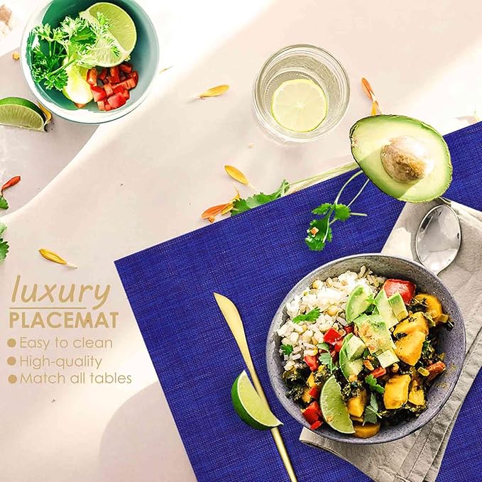GIVERARE Placemats Set of 4, Heat-Resistant Woven Vinyl Placemat 12x18in, Non-Slip Washable PVC Table Mat, Easy to Clean Premium Plastic Mats for Dining, Kitchen Table (Navy Blue)