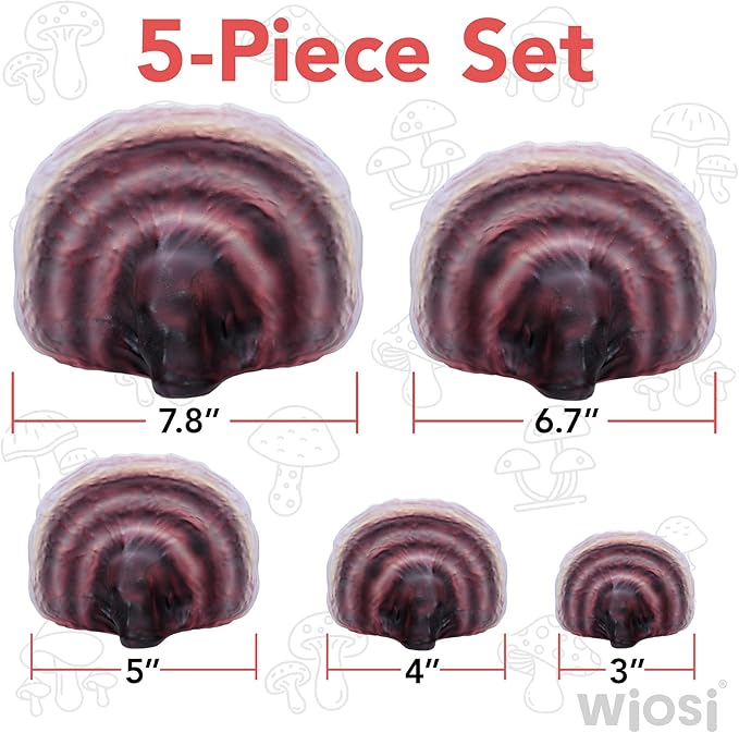 Wiosi 5-Piece Turkey Tail Reishi Mushroom Floating Shelves for Decorating Wall | Shelves for Room Wall | Perfect Floating Shelves for Room Decor | Leopard Gecko Tank Accessories