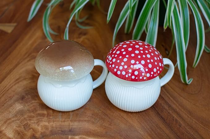 Mushroom Mug with Lid Stoneware Coffee Cup with Decorative Gift Box (Brown), Cottagecore Aesthetics