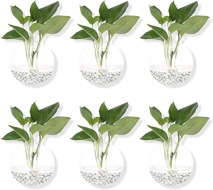Hanging Wall Planters Pack of 6 Glass Planter Pots Round Glass Flower Vases Hanging Propagation Station Glass Plant Hanger Terrariums Wall Hanging Plant Container