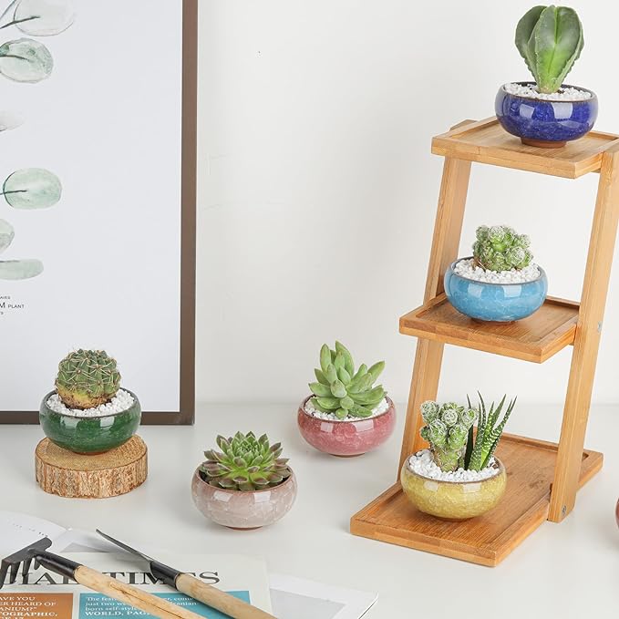 T4U 2.5 Inch Small Ceramic Succulent Planter Pot with Drainage Hole Set of 12, Ice Crack Glaze Plant Container for Cactus, Plant Lover Gifts for Women Mom Aunt Home Office Decor