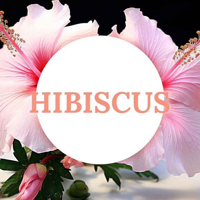 DEYBBY Natural Hibiscus Orchid Scented Soy Wax Tealight Candles Bulk, Aromatherapy Luxury Tea Candle Set of 12-4 Hour Burning Great Gift