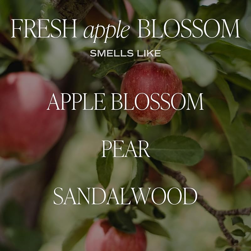 Sweet Water Decor Fresh Apple Blossom Reed Diffuser Set - Apple Blossom, Pear, and Sandalwood Scented Diffusers - Scent Diffusers for Home, Long Lasting Fragrance, Made in the USA