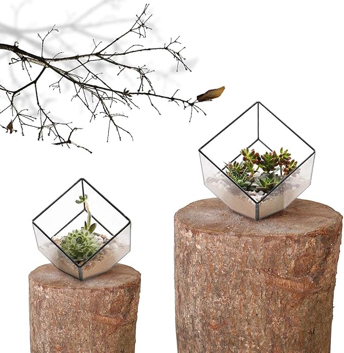 Glass Geometric Plant Terrarium Container, Flower Pot Tabletop Planter Decor Glass Display Box Succulent & Air Planter for Home Garden Office Decoration(Black Cubic Set of 2)