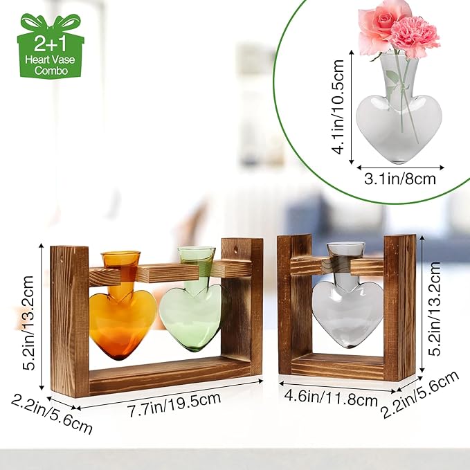 2+1 Plant Terrarium Plant Propagation Station Birthday Gifts for Women Plant Lovers Home Office Decor with Wooden Stand
