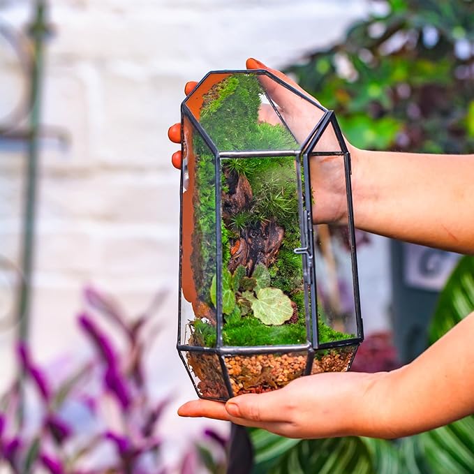 NCYP Small 5.1" x 5.1" x 8.66" Irregular Geometric Glass Terrarium Planter with Door - Home Tabletop Display Container Pot for Succulents, Cacti - Indoor Clear Decor, Black (No Plants)