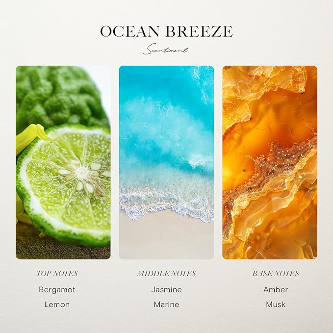 Ocean Breeze Hotel Diffuser Oil | Inspired by Ritz-Carlton® Hotels' Lobby Scent | Luxurious Scent with Notes of Bergamot, Lemon, Jasmine with Marine & Amber (20ml)