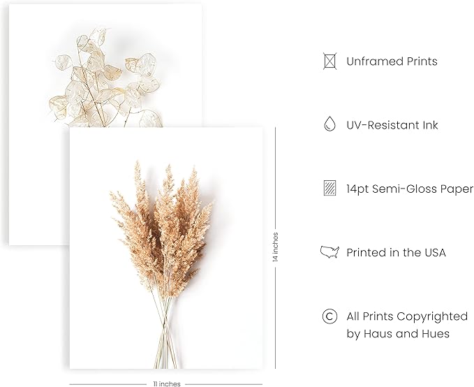 HAUS AND HUES Brown Plant Set of 4-11x14