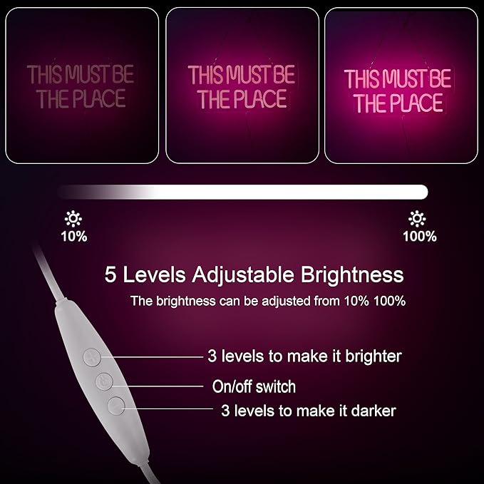 This Must Be The Place Neon Sign for Wall Décor Dimmable LED Neon Light USB Powered Neon Art Signs(Pink)