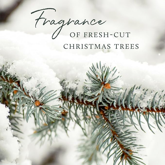 Thymes Frasier Fir Candles - Statement Collection - Silver with Pine Needle Design - Scented Candles for Home Decor - Notes of Siberian Fir Needles, Cedarwood & Sandalwood - Medium Luminary (20 oz)