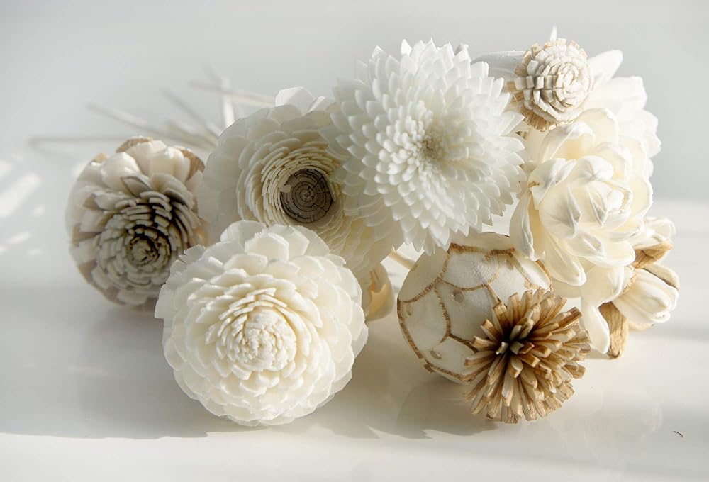 10 Mixed Sola Flower Reed Diffuser for Aroma Home Fragrance by Plawanature