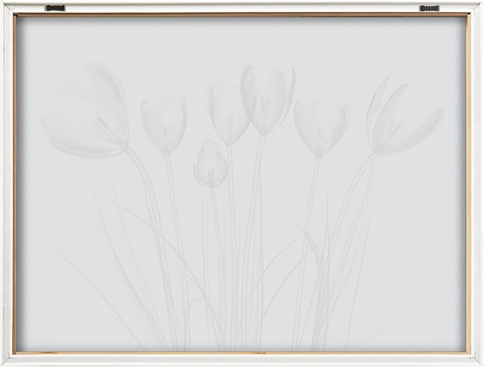 Kate and Laurel Blake Crocus X Ray Floral BW Framed Printed Glass Wall Art by The Creative Bunch Studio, 18x24 Natural, Decorative Modern Flower Art Print for Wall