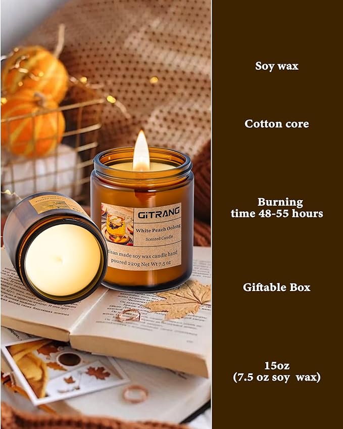 4 Pack Scented Candle Set, 30OZ 200H Long Lasting Home Aromatherapy Candles, Jar Candles Gift for Birthday Anniversary and Thanksgiving Day Present