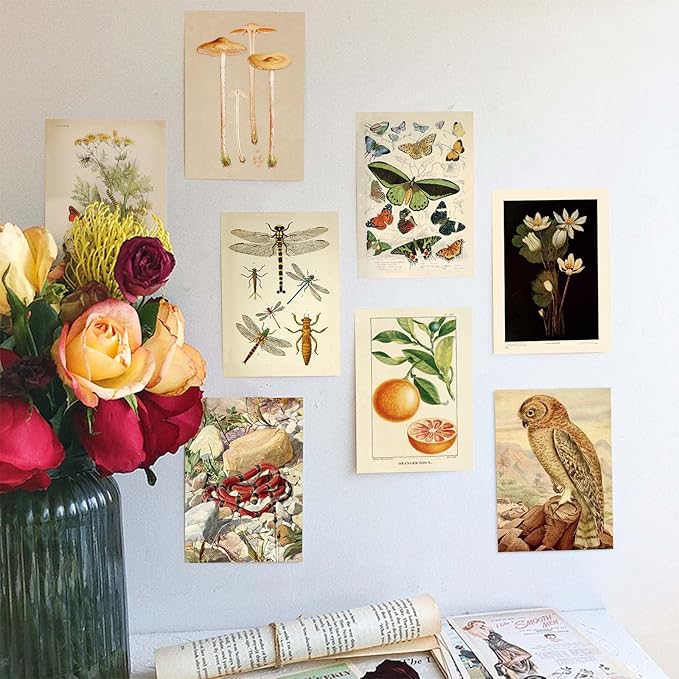 LA MAISON COZY 50PCS Boho Wall Collage Kit, Boho Room Posters Art Print, 4x6'' Vintage Wall Decor Gift for Teen Girls' Dorm Room