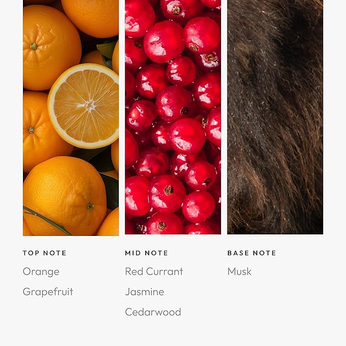 Aroma360 November Rain 50mL