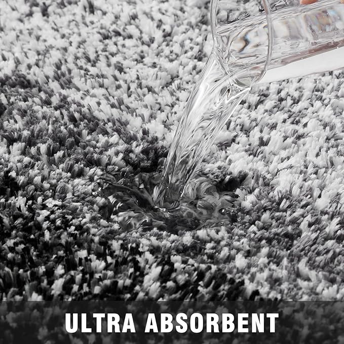 TECHMILLY Super Soft Shaggy Bathroom Rugs, Absorbent Thick Non Slip Microfiber Bath Rugs, Quick Dry Machine Washable Bath Mat for Bathroom Floor, Bathtub and Shower 17"x24"