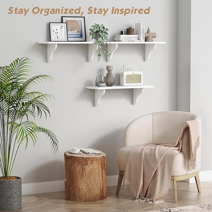 Forbena Decorative Wall Shelves for Living Room Set of 3, 24 Inch White Floating Shelves for Women Girls Bedroom, Unique Arched Wood Display Shelves for Office Storage Bathroom Decor Plants Books