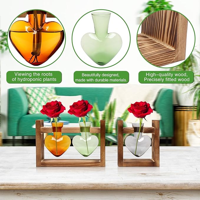 2+1 Plant Terrarium Plant Propagation Station Birthday Gifts for Women Plant Lovers Home Office Decor with Wooden Stand
