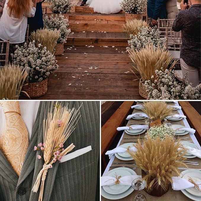 500 Pcs Dried Flower Dried Wheat Stalks Wheat Grass Decor Dried Flowers Arrangement for Home Table Wedding DIY Design Party Farmhouse Decor (16")