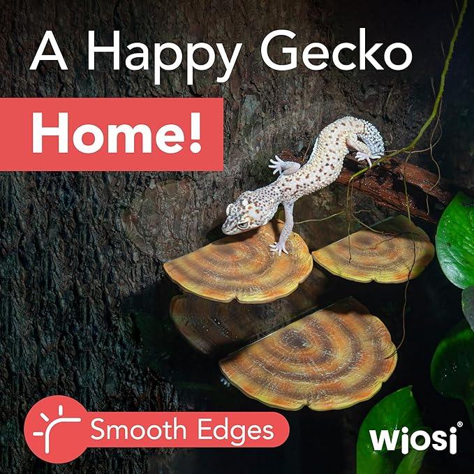 Wiosi 5-Piece Turkey Gill Mushroom Floating Shelves for Decorating Wall | Shelves for Room Wall | Perfect Floating Shelves for Room Decor | Leopard Gecko Tank Accessories