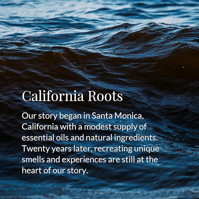 Archipelago Botanicals Mango Tangerine Reed Diffuser Oil Refill, Home Fragrance Oil for Diffuser, Long-Lasting Natural Home Fragrance, Diffuser Oil Scents, 7.85 Fl Oz