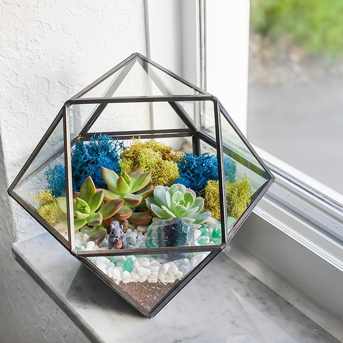 DIY 7" Geometric Terrarium Kit - Build Your Own Glass Terrarium for Adults & Kids with Moss, Crystals, Tools & Decorative Figurine - Mini Ecosystem - Handcrafted in The USA