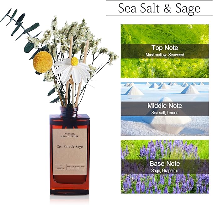 Reed Diffuser Set - Sea Salt & Sage Essential Oil, 5.07oz/150ml Seaweed Aroma Oils Scents with Dry Flower Decoration, Fragrance for Home Large Room Bathroom Office Shelf Decor