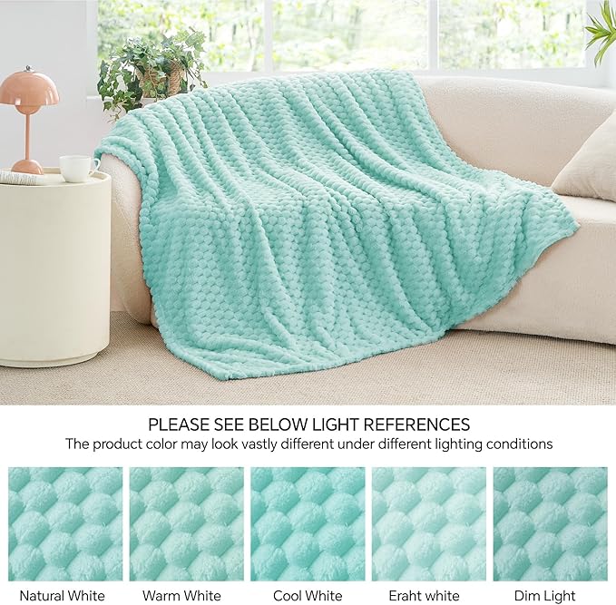 BEDELITE Fleece Blanket Twin for Bed Couch, 3D Jacquard Decorative Cloud Blue Throw Blanket, Soft and Cozy Warm Plush Fuzzy Blanket All Seasons Suitable, 60x80Inches